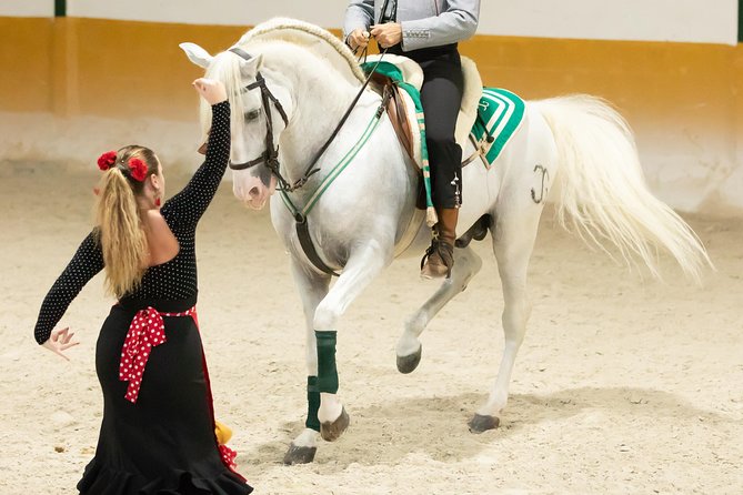 Horse and Flamenco Show in Malaga - Should you book this Horse and Flamenco show in Malaga?