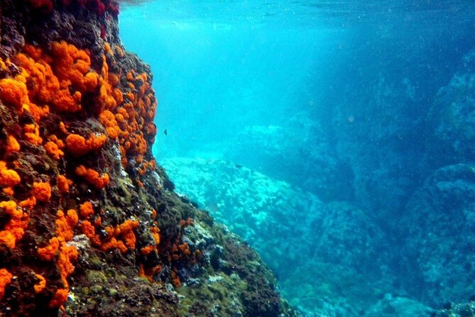 Kayak & Snorkel Tour in Cerro Gordo Natural Park, La Herradura - Key points before you go