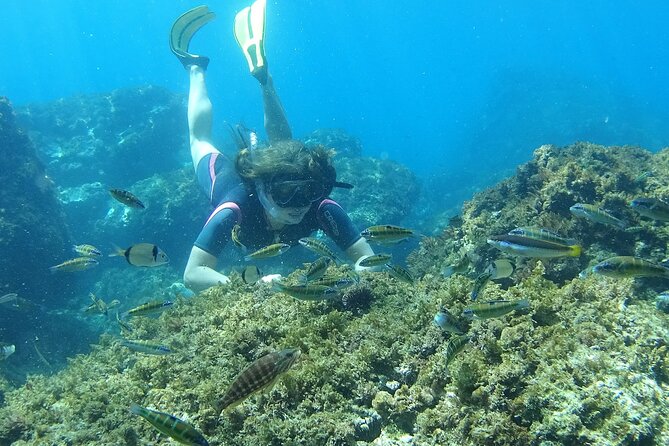 Kayak & Snorkel Tour in Cerro Gordo Natural Park, La Herradura - Weather and wind: when the sea decides the plan