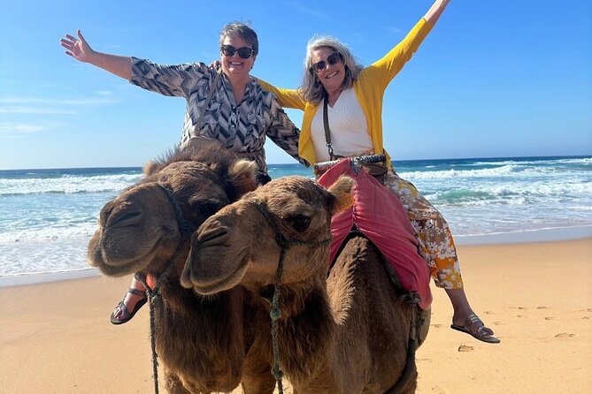 Luxury Private Tour of Tangier from Marbella All Inclusive - Jardin de la Mendoubia: A Quick Green Break in the Middle of the Day