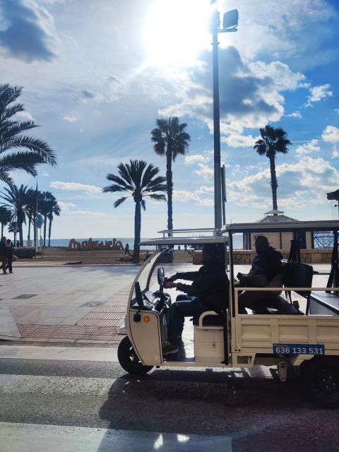 Málaga 1-hour by TukTuki: Essential and Private Tour - What the guides do right (and why it shows in the reviews)