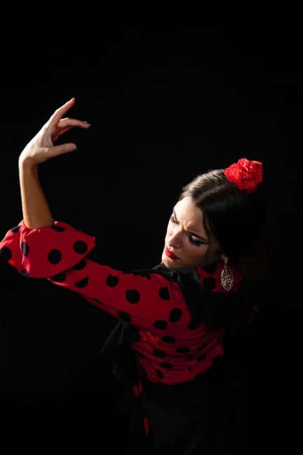 Malaga: Authentic Flamenco Dinner Show at Vino Mio - Key things to know before you go