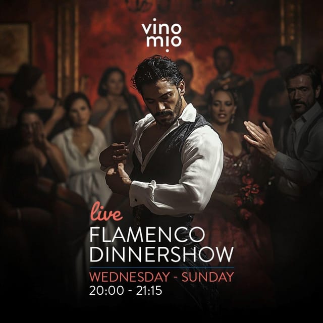 Malaga: Authentic Flamenco Dinner Show at Vino Mio - Your evening timeline: dinner + performance without missing the start