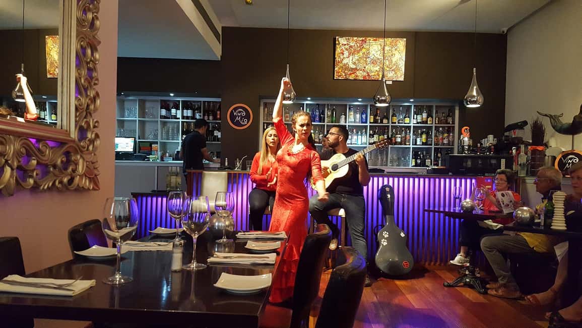 Malaga: Authentic Flamenco Dinner Show at Vino Mio - What you’ll actually see and hear for that 1 hour