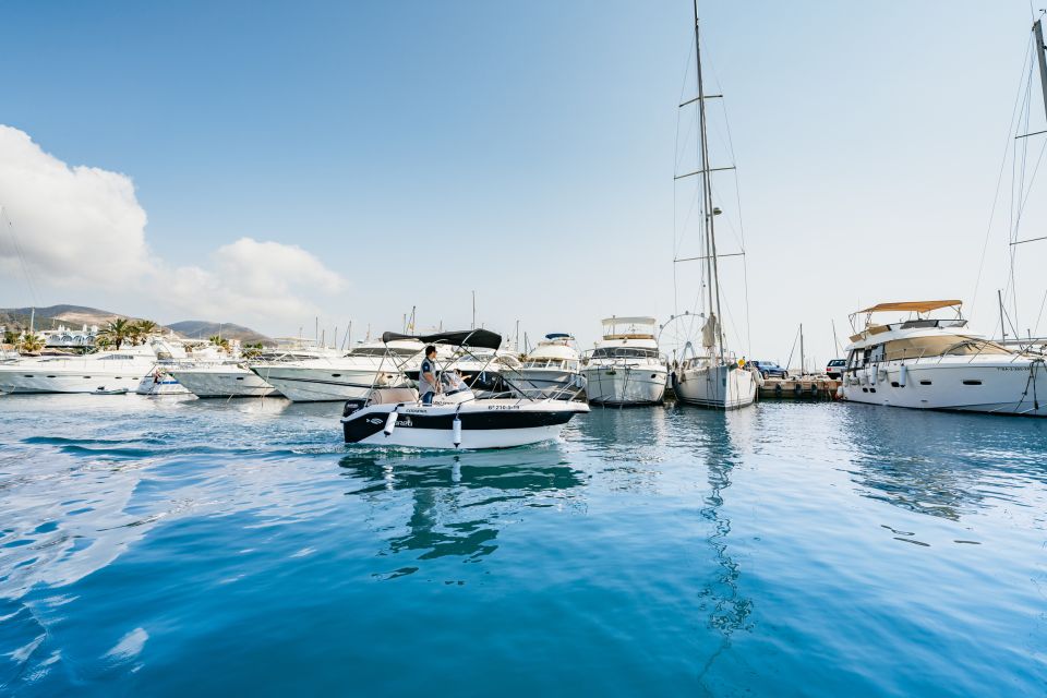Malaga: Boat Rental without a License for Dolphin Watching - Final call: should you book this Malaga dolphin watching boat rental?