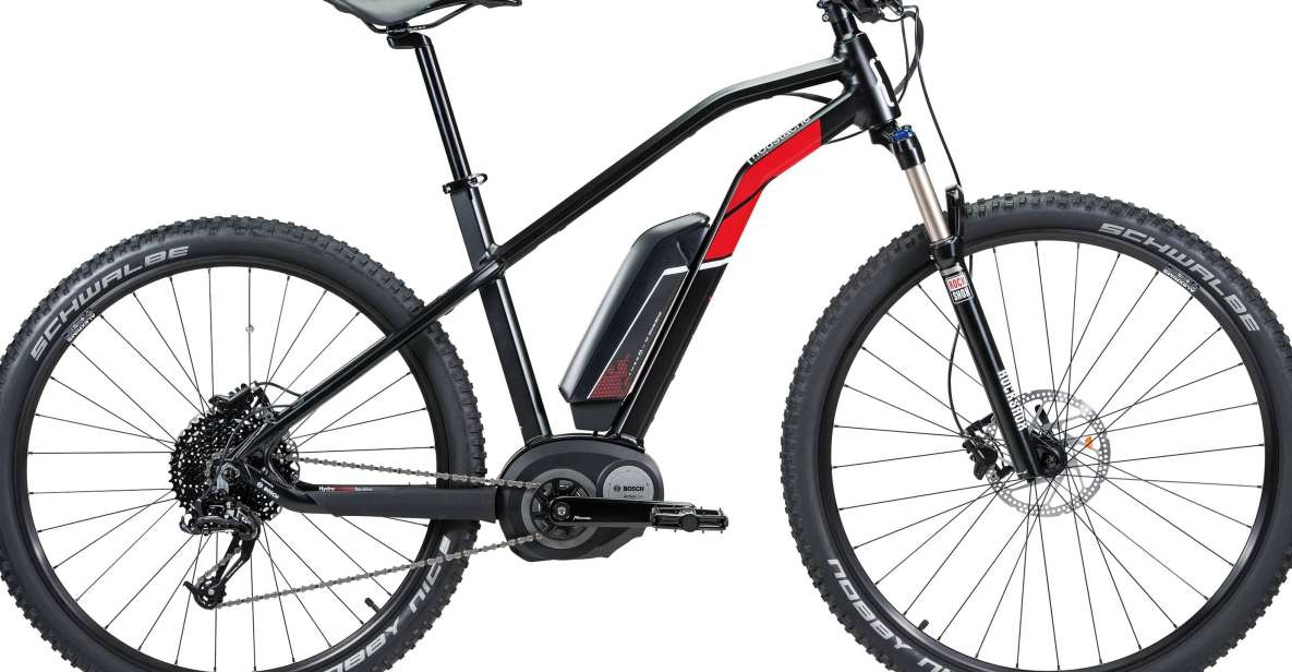 Malaga: Electric Bike Rental - “Ergonomics First”: Why the Upright Position Matters