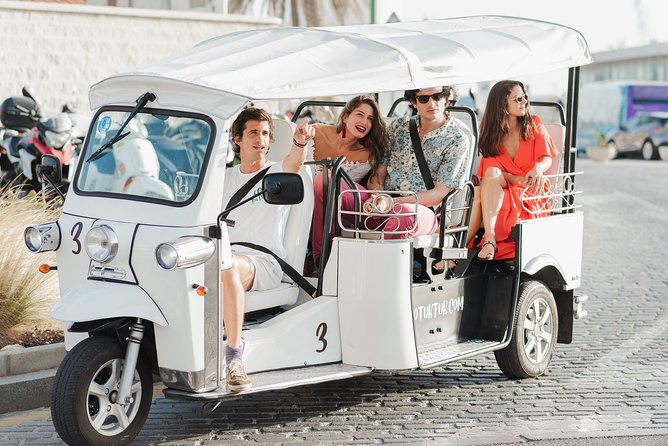 Malaga Expert Tour with Local Guide in Eco Tuk Tuk Private - Comfort and gotchas: cobblestones, fixed stops, and weather