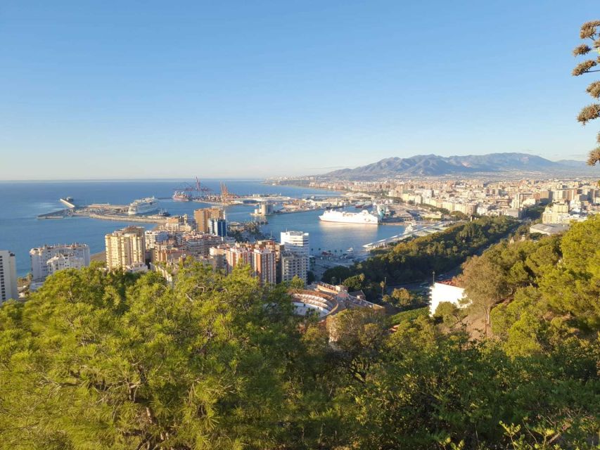 Malaga: Guided E-Bike Tour - Should you book this guided e-bike tour in Malaga?