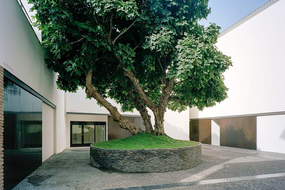 Málaga: Museo Picasso Málaga Entry Ticket - Price and value: what $15 buys you in practice