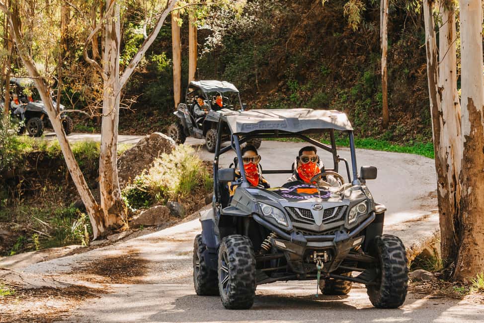 Málaga: Off-Road Buggy Tour in Mijas - Price and value: $146 for up to 2, and what that really buys