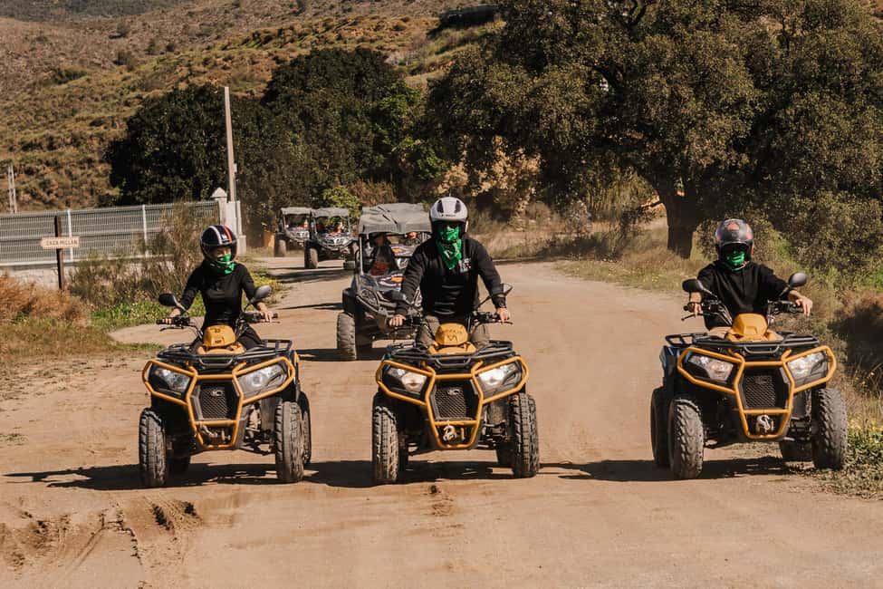 Málaga: Off-road Tour by 2-Seater Quad in Mijas - Wildlife sightings: what you might see in the mountains of Mijas