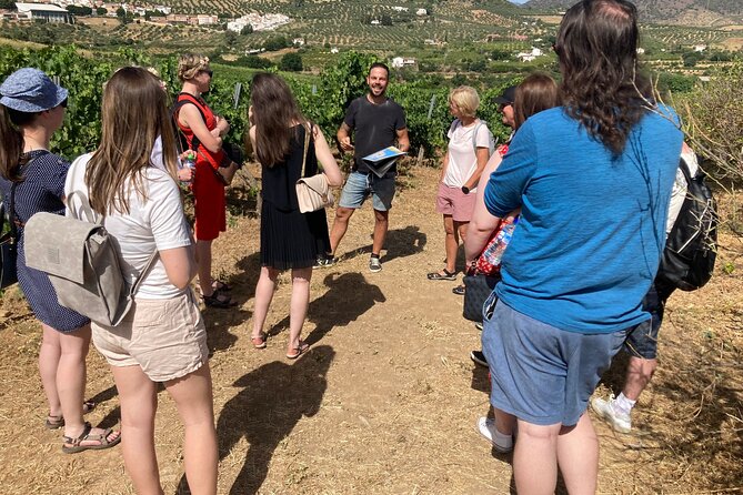 Malaga Organic Vineyard and Winery Six Wines Tapas and Transfer - Leaving Malaga: The A/C Van Ride That Sets the Tone