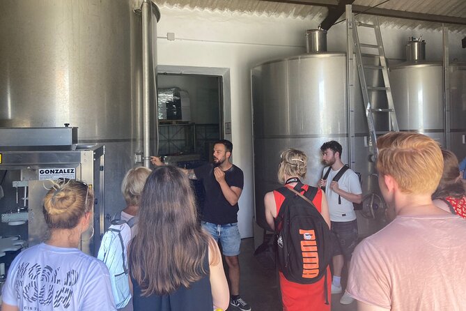 Malaga Organic Vineyard and Winery Six Wines Tapas and Transfer - Viñedo Malvajio: Organic Vineyard Walk 400m Above the Sea