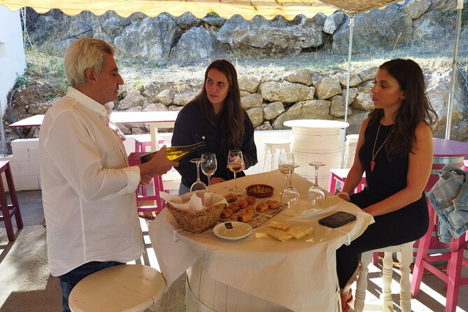 Malaga Organic Vineyard and Winery Six Wines Tapas and Transfer - Meals, Pours, and the Pace of a Relaxed Afternoon