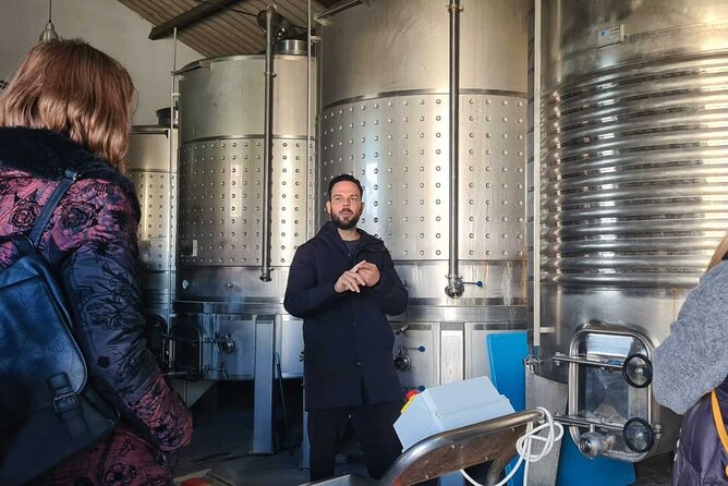 Malaga Organic Vineyard and Winery Six Wines Tapas and Transfer - Who You’ll Meet: Antonio, the Guides, and a Small-Group Feeling