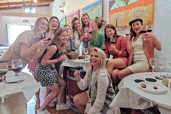 Malaga Organic Vineyard and Winery Six Wines Tapas and Transfer - Good Fit for: Wine Lovers, Food People, and City Break Seekers