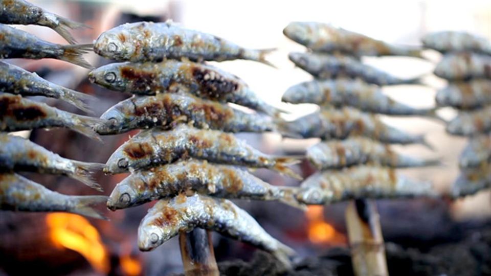 Malaga: Paella and Tapas Tour with The Best Flamenco Show - Quick tips that make the night smoother