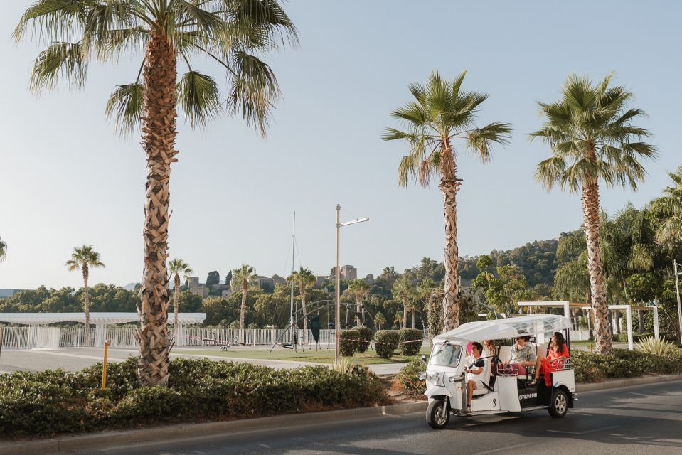 Malaga: Private City Tour by Eco Tuk Tuk - Plaza de la Marina and Marina Square: city energy with breathing room