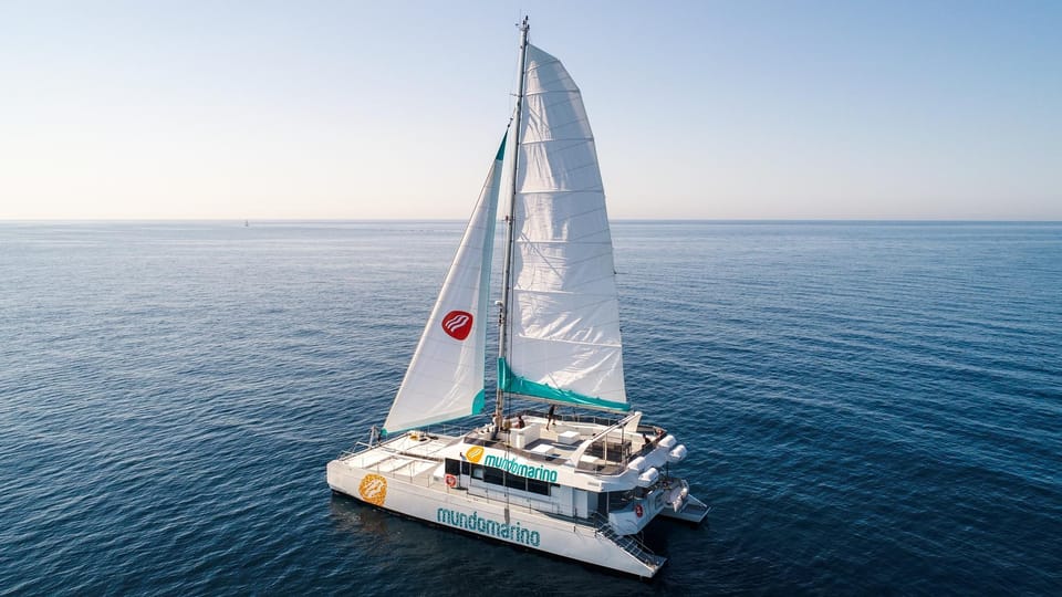 Malaga: Sailing Catamaran with Swimming and Paella Lunch - Sailing Along Malaga: Views Without Beach Crowds