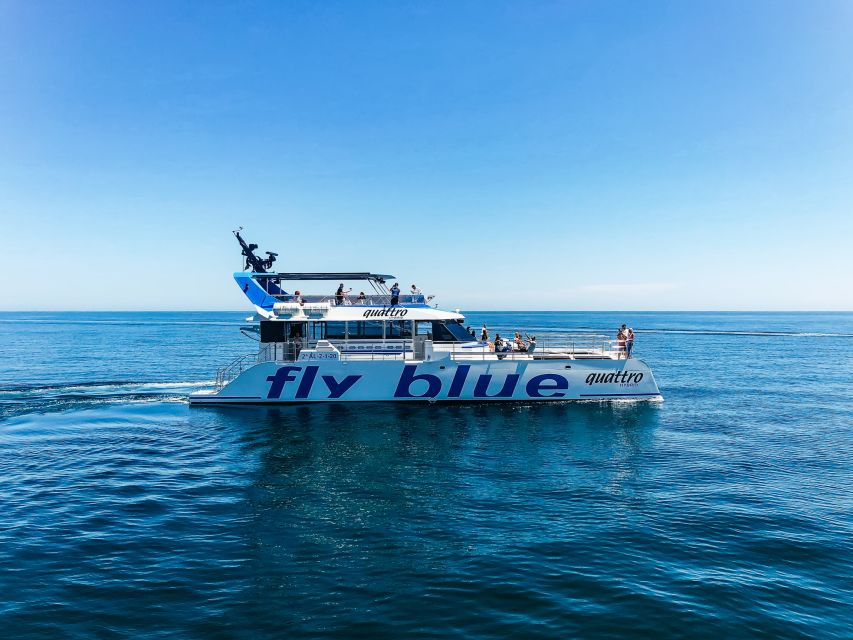 Málaga: Scenic Catamaran Cruise - The Route and Views: City, Harbor, and Sea
