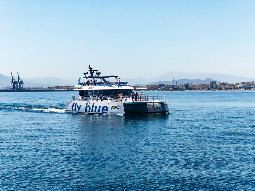 Málaga: Scenic Catamaran Cruise - Value for Money vs Longer Cruises