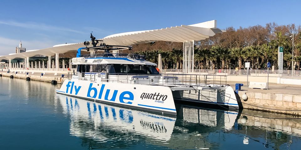 Málaga: Scenic Catamaran Cruise - Who This Cruise Fits Best (and Who It Might Not)