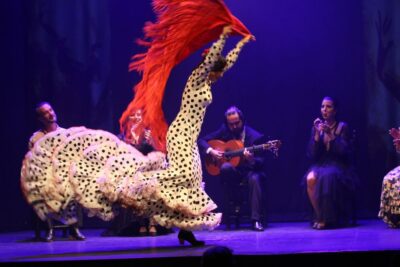 Malaga: Teatro Flamenco Malaga Live Flamenco Show - Before you go: where to check in and how to arrive smart