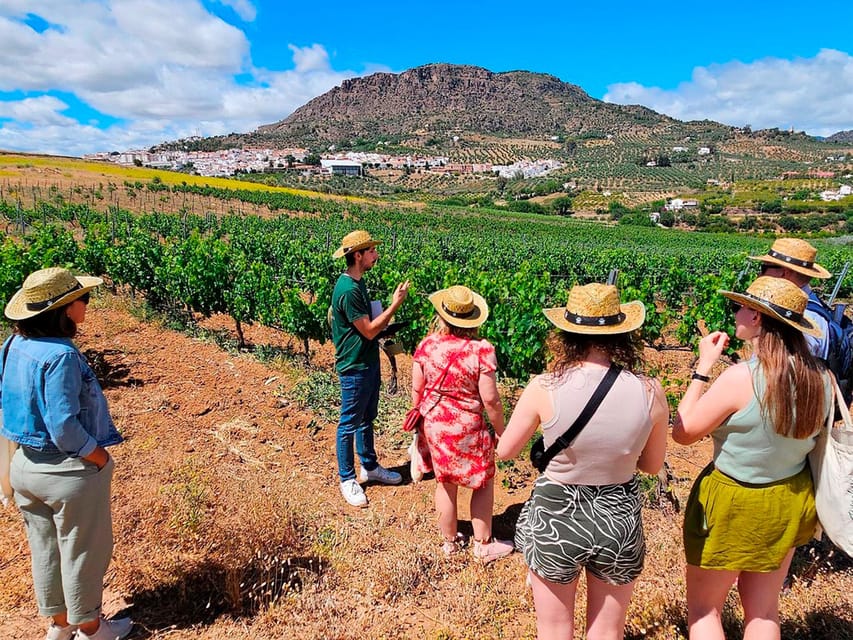 Malaga: White Village, Vineyard, and Wine Tasting Wine Tour - The First Walk: Town Orientation, Museum Time, and the Big Views