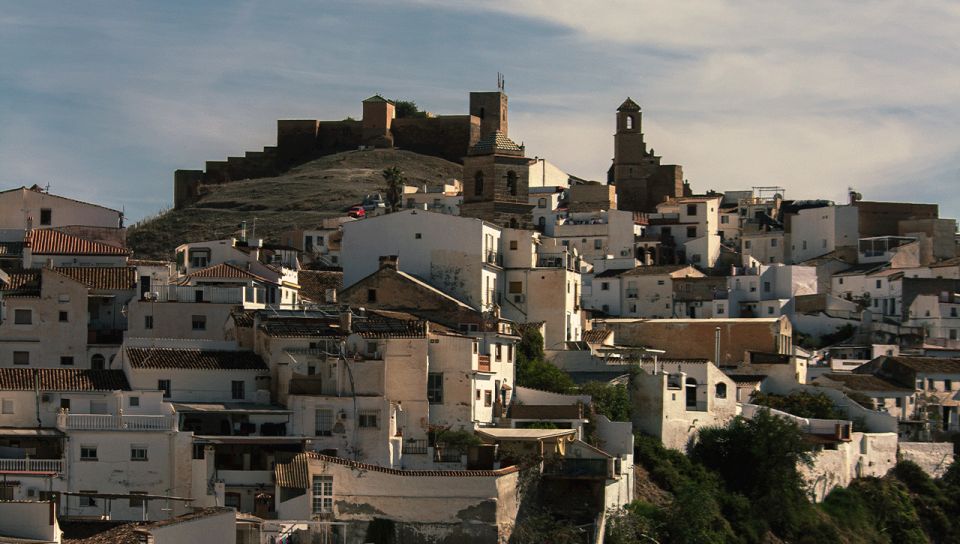Malaga: White Village, Vineyard, and Wine Tasting Wine Tour - Timing and Logistics That Actually Affect Your Day
