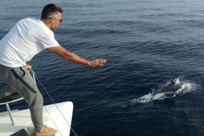 Marbella 3-hour Catamaran Group Excursion with Dolphin Watching - Where You Meet Near Nueva Andalucía and How Easy It Is to Find