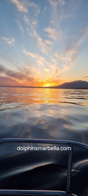 Marbella: Dolphin-Watching Sailboat Trip with Drinks, Snacks - Why This 2-Hour Dolphin Sail Works in Marbella