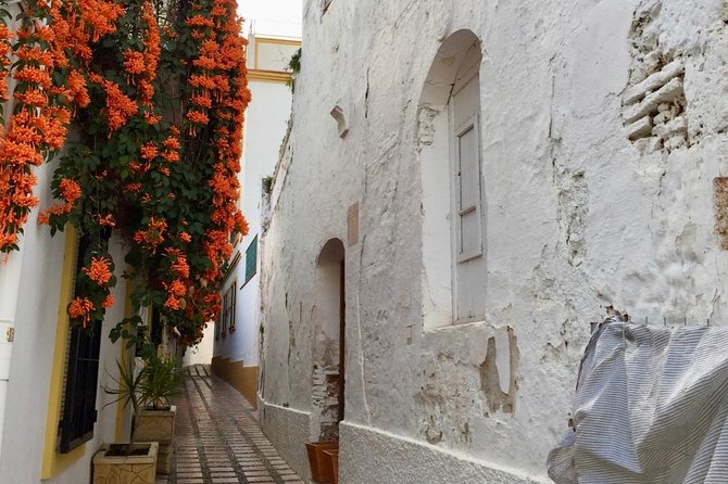 Marbella Old Town group tour with a True Local - Capilla de San Juan de Dios: woodwork you can still spot