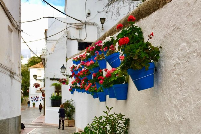 Marbella Old Town group tour with a True Local - Plaza de los Naranjos: orange grove shade and a natural finish