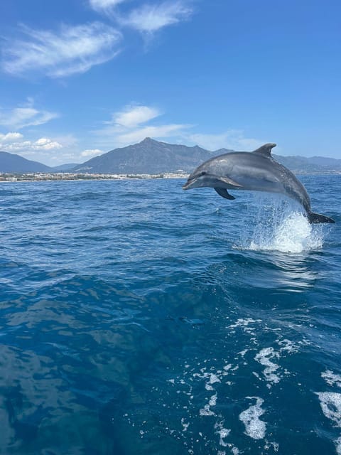 Marbella: Sailing & Dolphin Watching with Snacks and Drinks - From Pier 4 to Open Water: Puerto Banús Boarding Basics