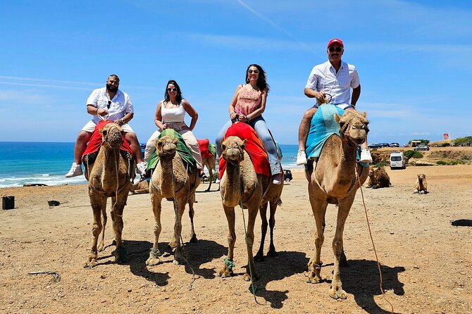 Morocco: Tangier Private Tour from Malaga & Tarifa, All Inclusive - Getting there: the 6:00 am start and ferry reality