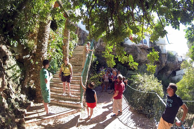 Natural Parck Jeep Eco Tour from Costa del Sol - Key highlights I’d circle on your plan