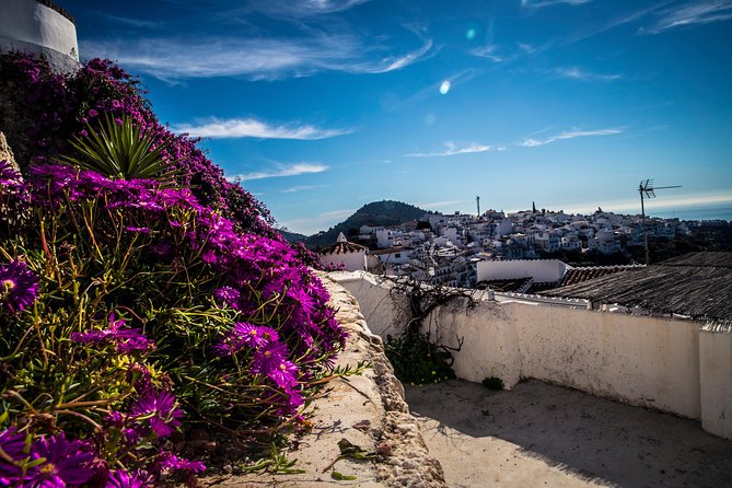 Nerja (Pueblo) + Frigiliana & El Acebuchal - Semi-Private - Practical Tips That Make the Day Easier