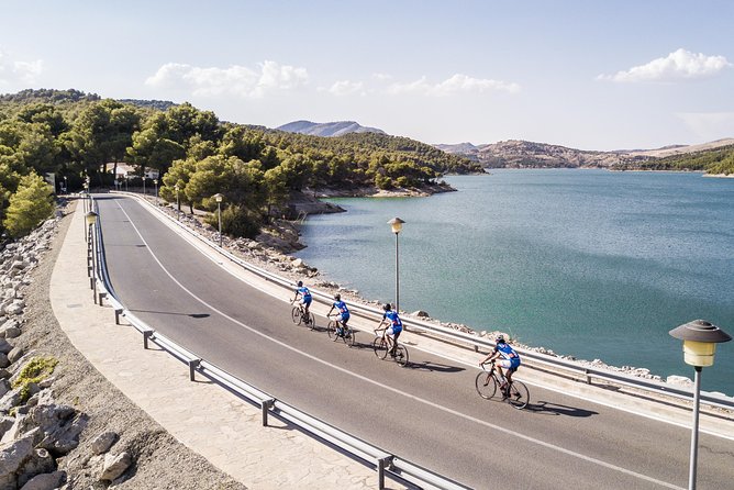 Personalised Road Bike Tour in Malaga - The bike setup: carbon hire and personalized comfort