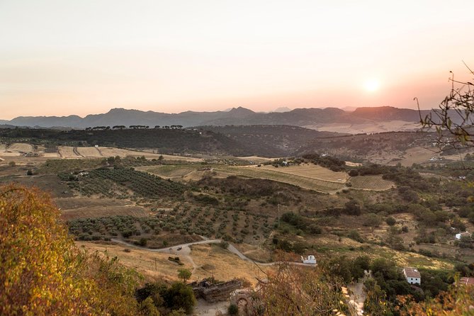 Ronda Village Guided Tour from Costa del Sol - Free time in Ronda: how to use it without turning it into a stress-fest