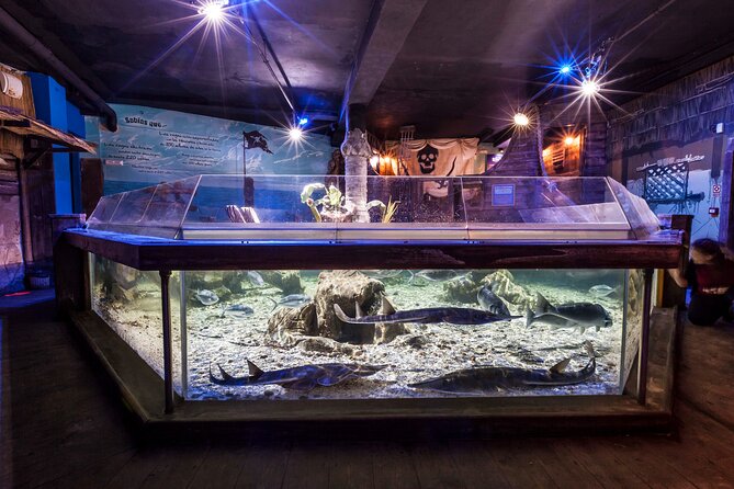 Sealife Benalmadena Entrance Ticket - What you’re really buying: admission + a solid family hour