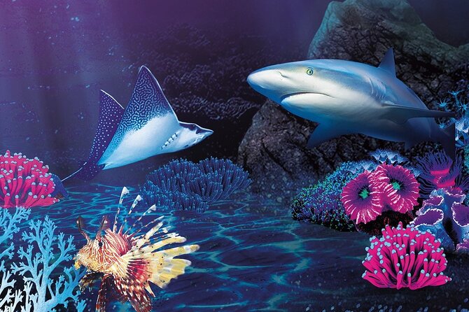 Sealife Benalmadena Entrance Ticket - Timing and pacing: make the interactive parts your priority