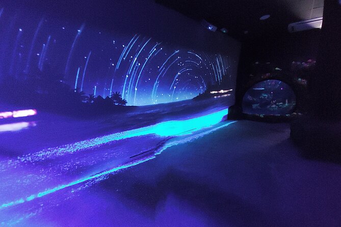Sealife Benalmadena Entrance Ticket - Price and value: $25.23 for a compact but hands-on aquarium