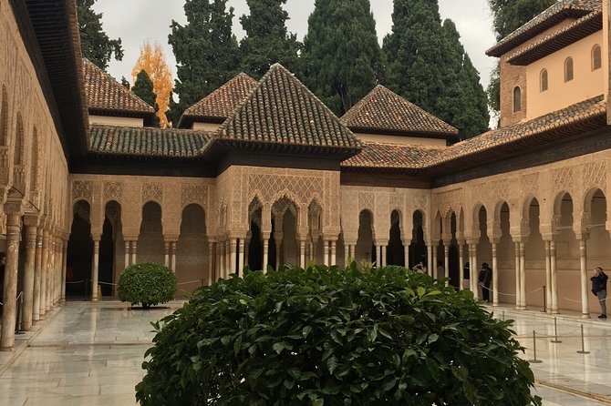 Semi Private Tour to the Alhambra from Nerja - Price and value: what you pay for at $211.19 per person