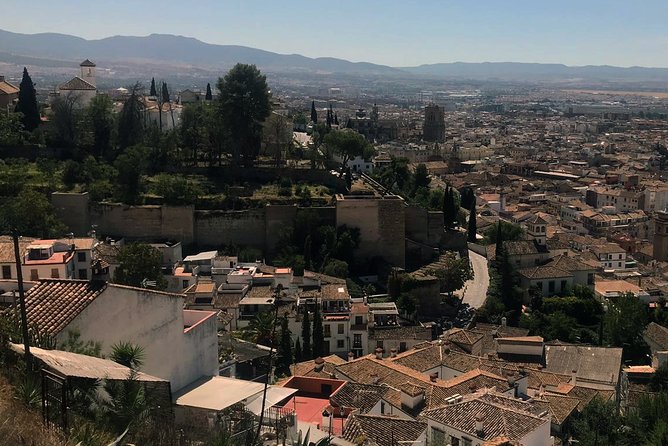 Semi Private Tour to the Alhambra from Nerja - Guides that make or break the day: Cipriano and Miguel