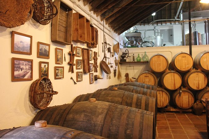 Sun and Wine Route - Small group, wine tasting and tapas included - A Half-Day That Combines Malaga Coast Life With Axarquía Wine Country
