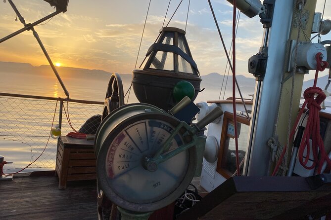 Sunset Sailing Experience in Estepona - The cruise flow: from the marina to dolphins to the final glow