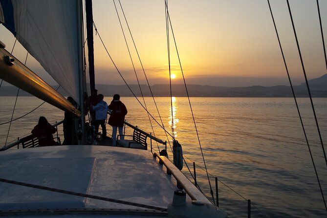 Sunset Sailing Experience in Estepona - Dolphin spotting: what you can hope for (and what you can’t)