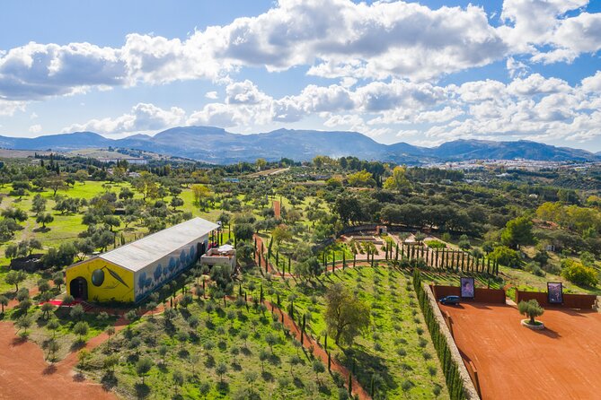 Visit Oil Mill Museum and Olive Oil Tasting in Ronda - Key highlights at LA Organic in Ronda