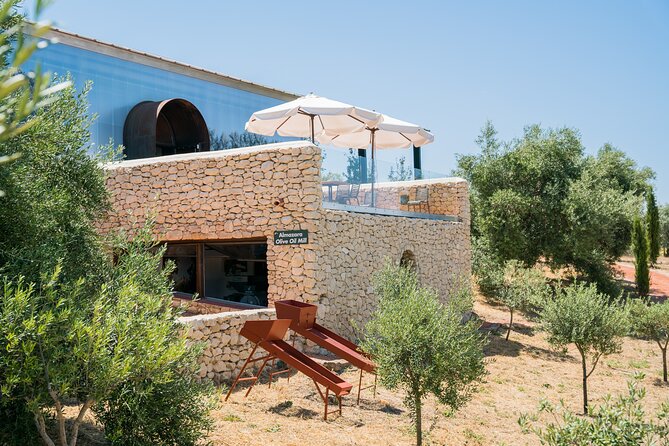 Visit Oil Mill Museum and Olive Oil Tasting in Ronda - Getting oriented: the start at LA Almazara La Organic