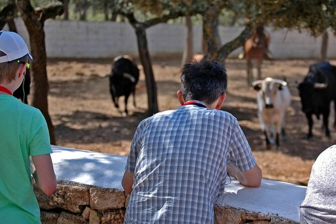 Visita Entre Toros y Caballos - Price and Value: Why This Costs $36.16 (and When It’s Worth It)